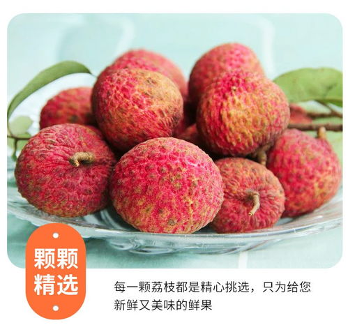 高州白糖罌荔枝 當(dāng)季鮮果，滋味直達(dá)——5斤裝整箱批發(fā)品鑒